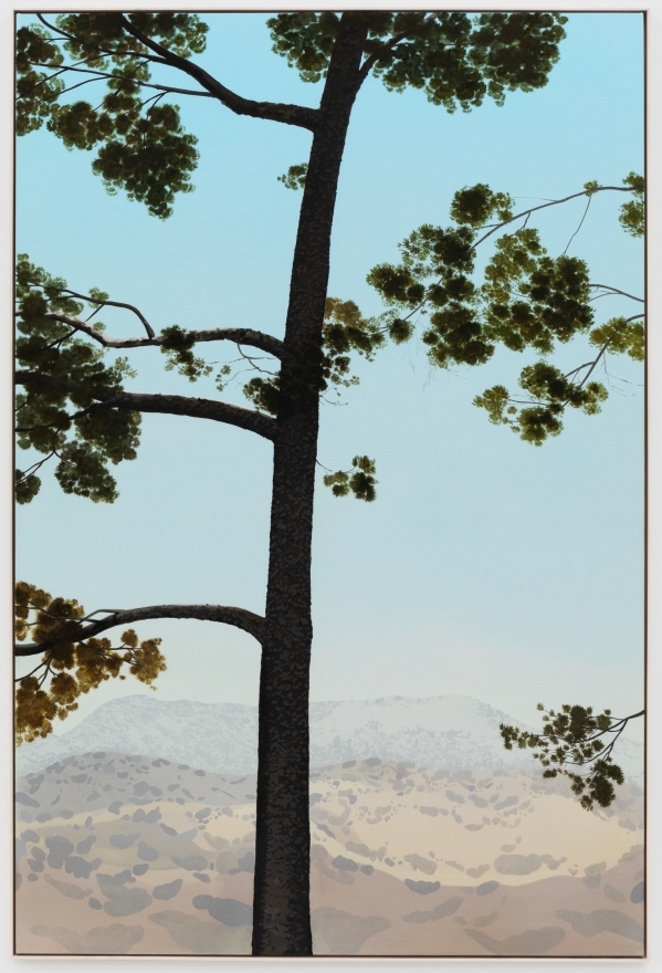 Jake Longstreth, In Glendale (Pine 5), 2020. oil on muslin, 85 x 57.25 in, 213.4 x 144.8 cm (framed). (JLO20.003)