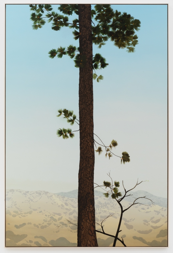 Jake Longstreth, In Glendale (Pine 4), 2020. Oil on muslin, 85 x 57.25 in, 216 x 145.5 cm (framed). (JLO20.006)