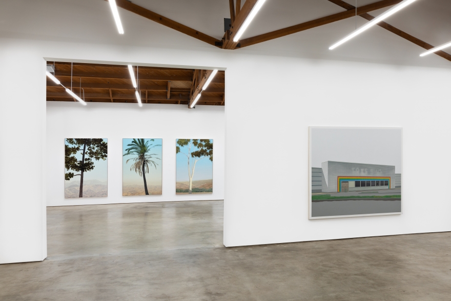 Installation View of "In Glendale (Canary Island Pine 2)", "In Glendale (Fan Palm)", "In Glendale (Eucalyptus)", and "Peach Tree Drive"