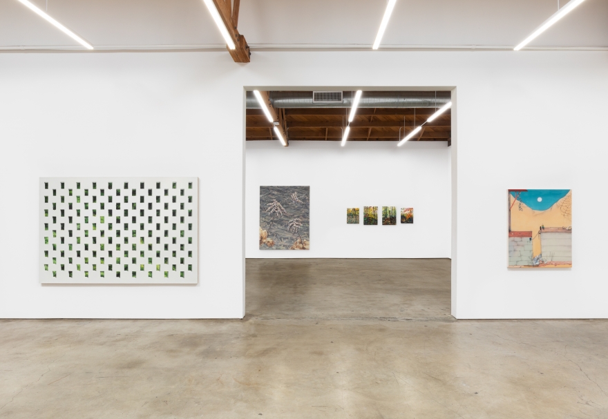 Installation View of REWILDING Exhibition (June 26-July 31, 2021) Nino Mier Gallery, Los Angeles
