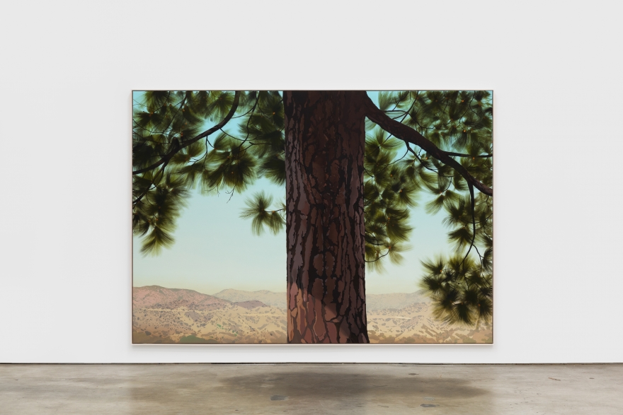 Jake Longstreth Sand Canyon (Pine 1), 2021 oil on muslin 84 x 120 in 85 x 121 x 2.5 in, framed (JLO20.060)