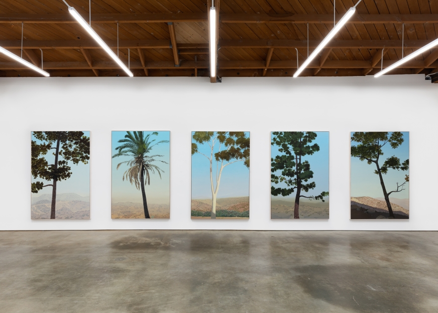 Installation View of "In Glendale (Canary Island Pine 2)", "In Glendale (Fan Palm)", "In Glendale (Eucalyptus)", "In Glendale (Canary Island Pine 1)", and "In Glendale (Live Oak 1)"