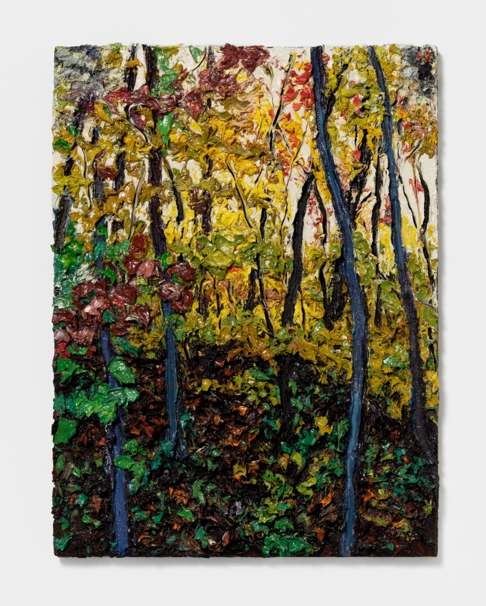 Robert Terry In the Woods, Hudson River, 2012 Oil on board 24 x 18 in 61 x 45.7 cm (RTE21.005)