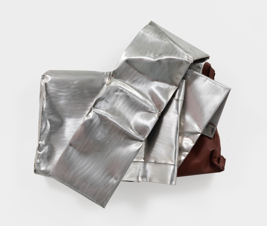 Anna Fasshauer Untitled, 2020 Aluminum and lacquer (AFA20.009)