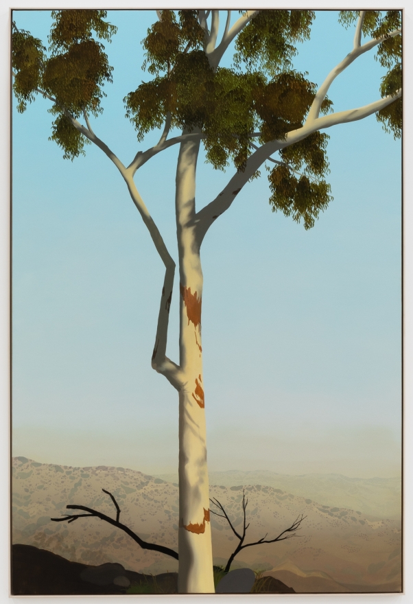 Jake Longstreth, In Glendale (Eucalyptus 3), 2020. Oil on muslin, 85 x 57.25 in, 216 x 145.5 cm (framed). (JLO20.007)
