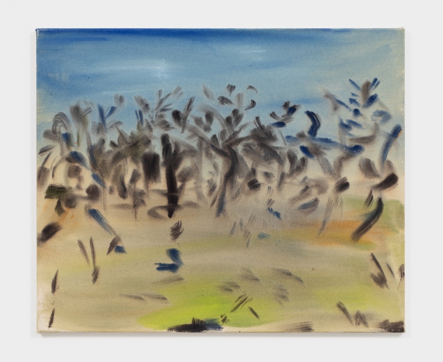Sophie von Hellermann Will o' the Wisp, 2021 Acrylic on canvas 19 5/8 x 23 5/8 in 49.8 x 60 cm (SVO21.002)