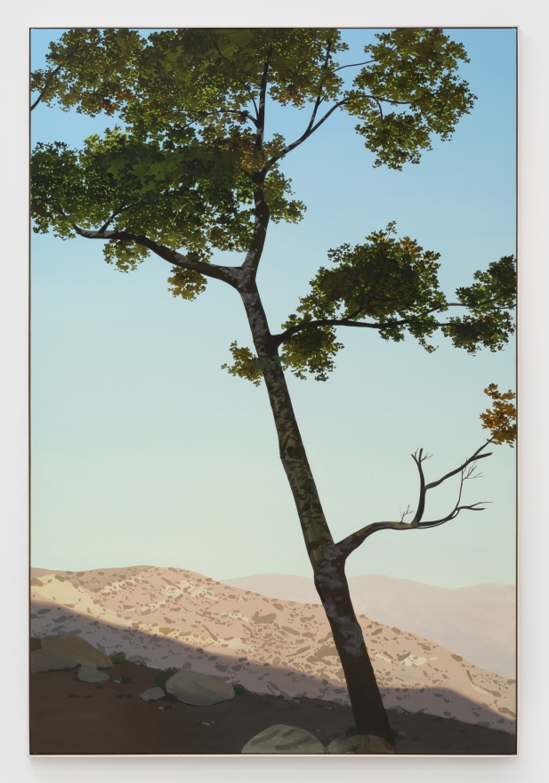 Jake Longstreth, In Glendale (Live Oak 1), 2019. Oil on muslin, 84 x 57 in, 213.36 x 144.8 cm (JLO19.017)